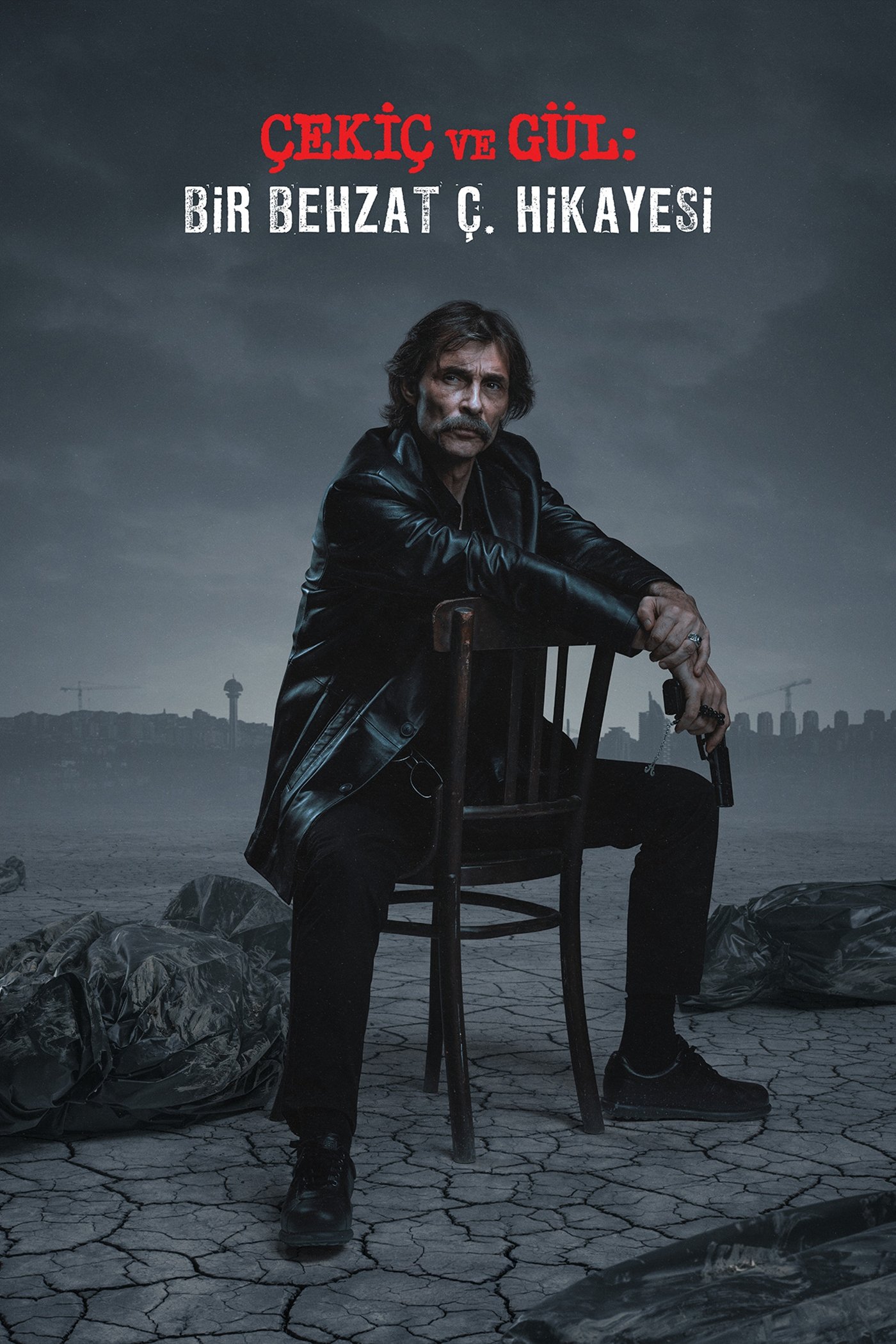 Çekiç ve Gül: Bir Behzat Ç. Hikayesi