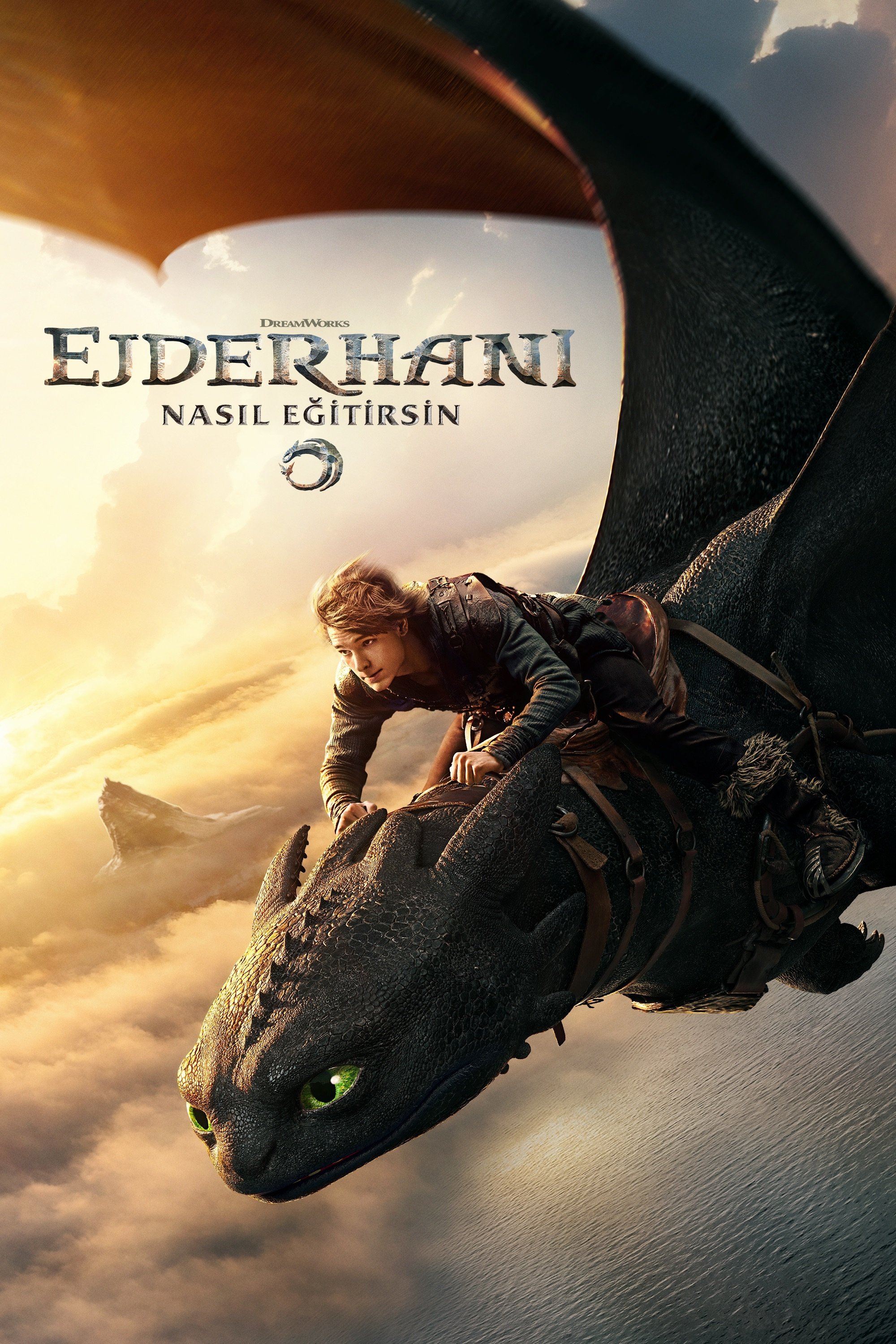 Ejderhanı Nasıl Eğitirsin
