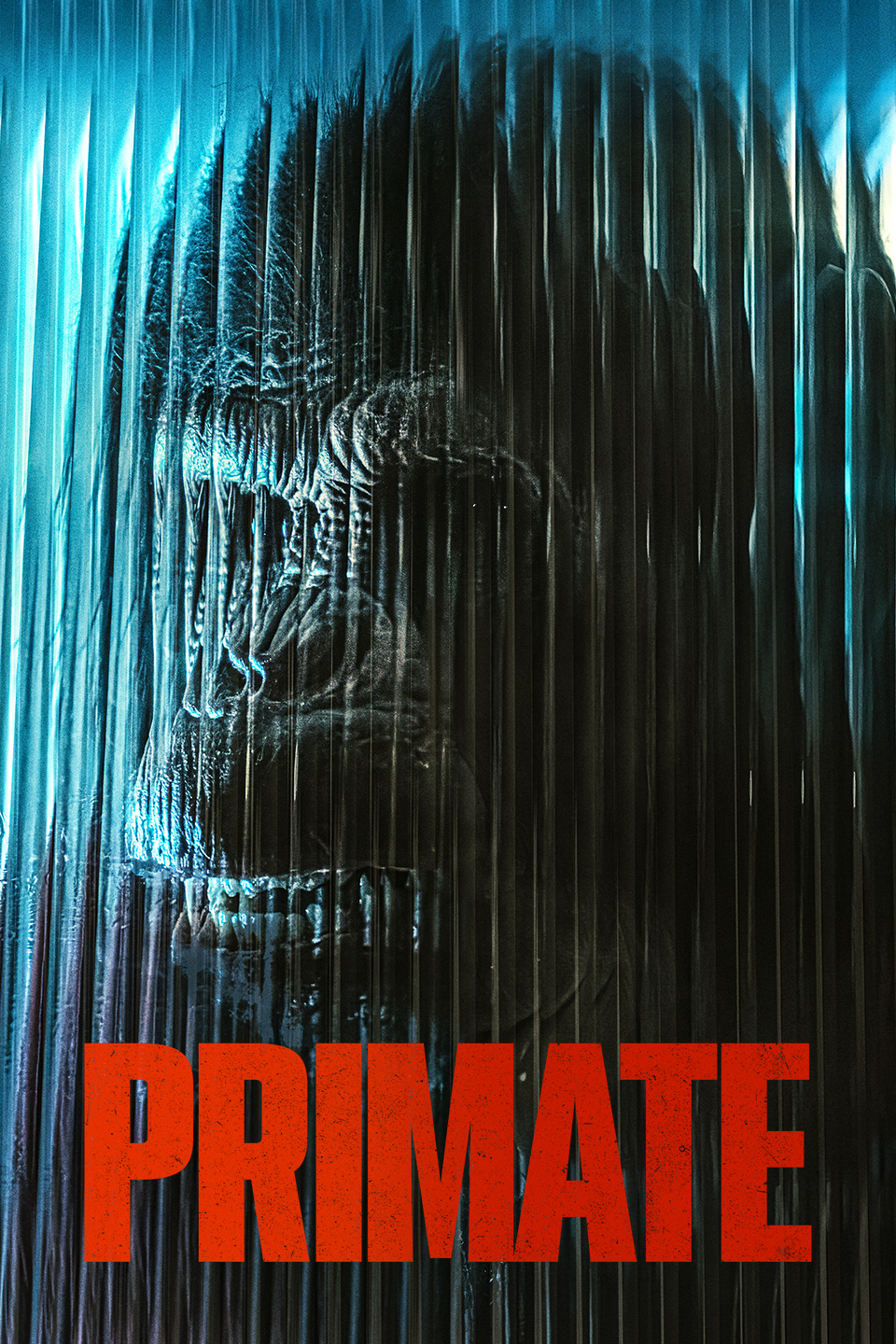 Primat