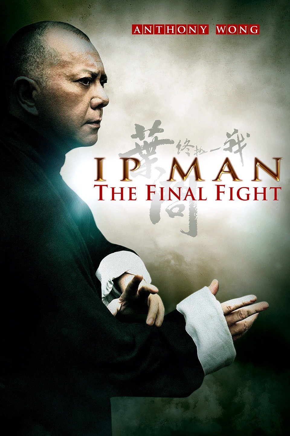 Ip Man: Son Dövüş