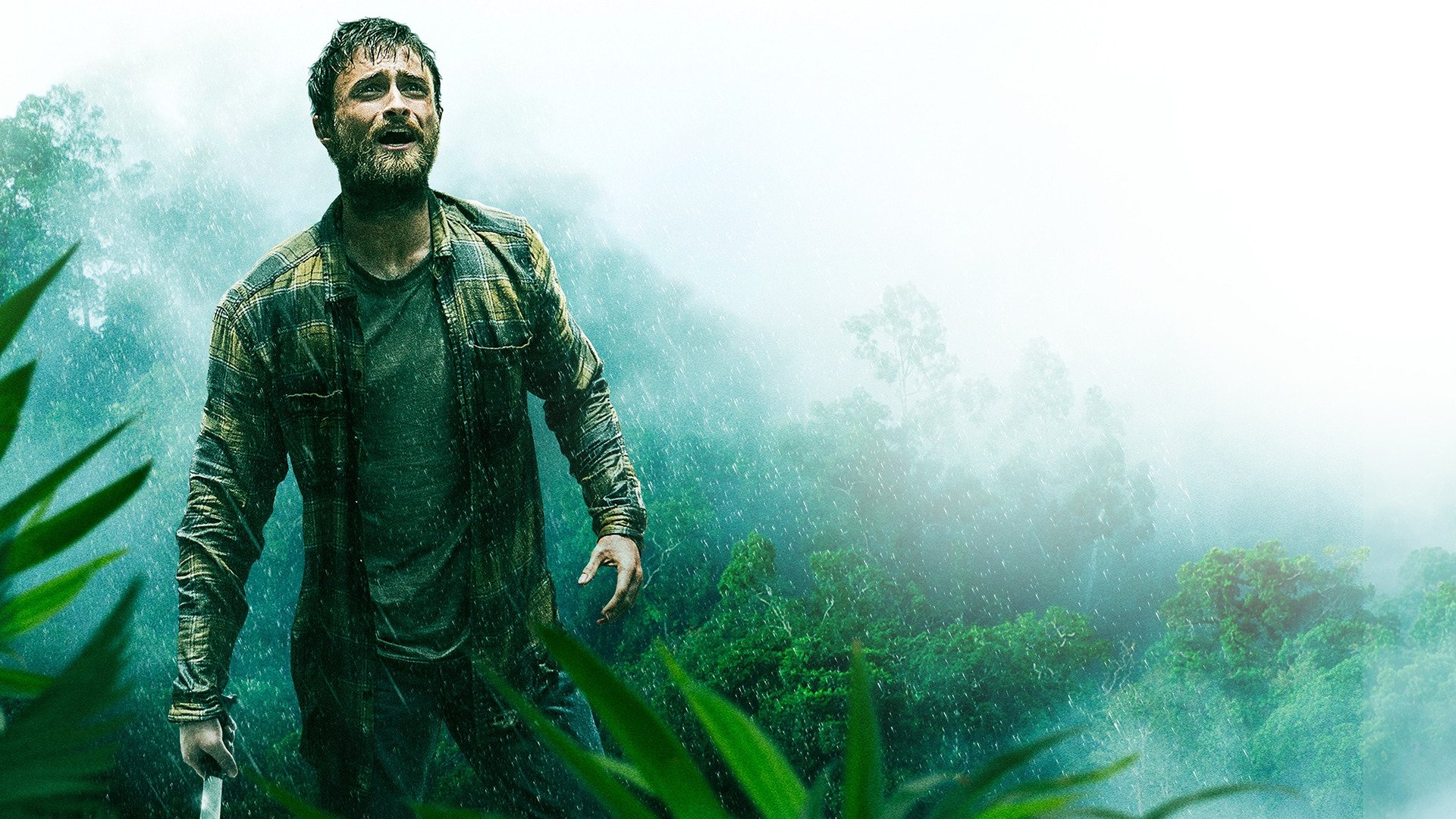 Jungle