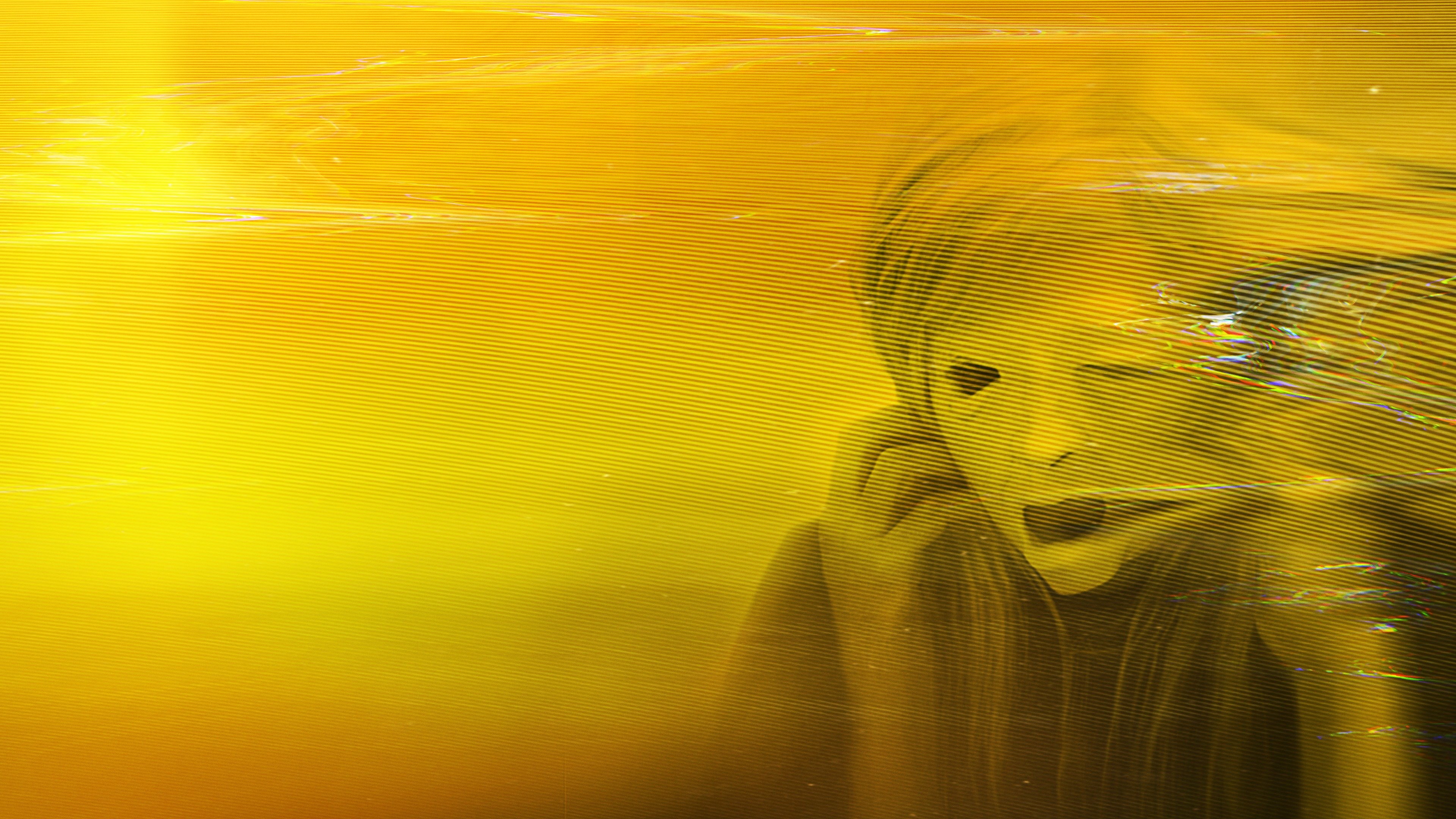 Possessor: Sahip