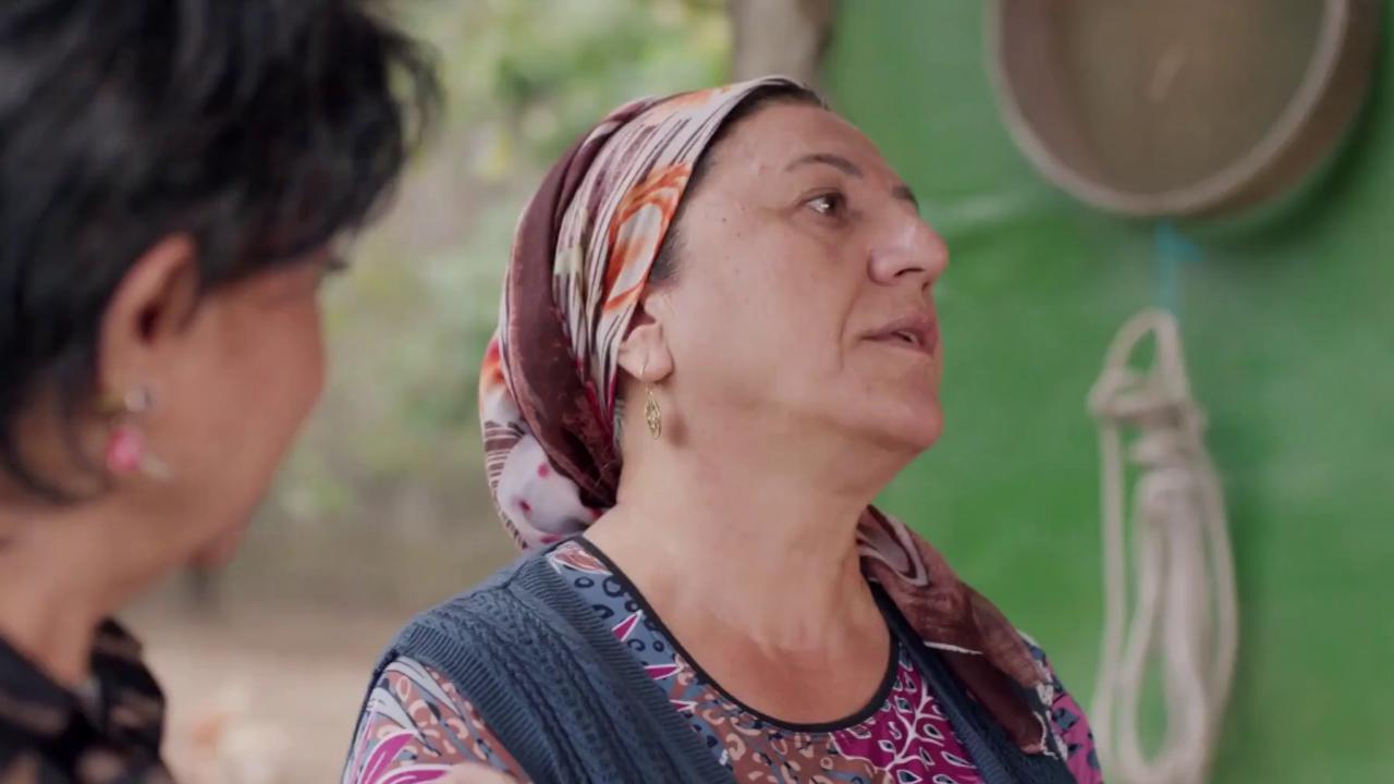 Yeni Hayat