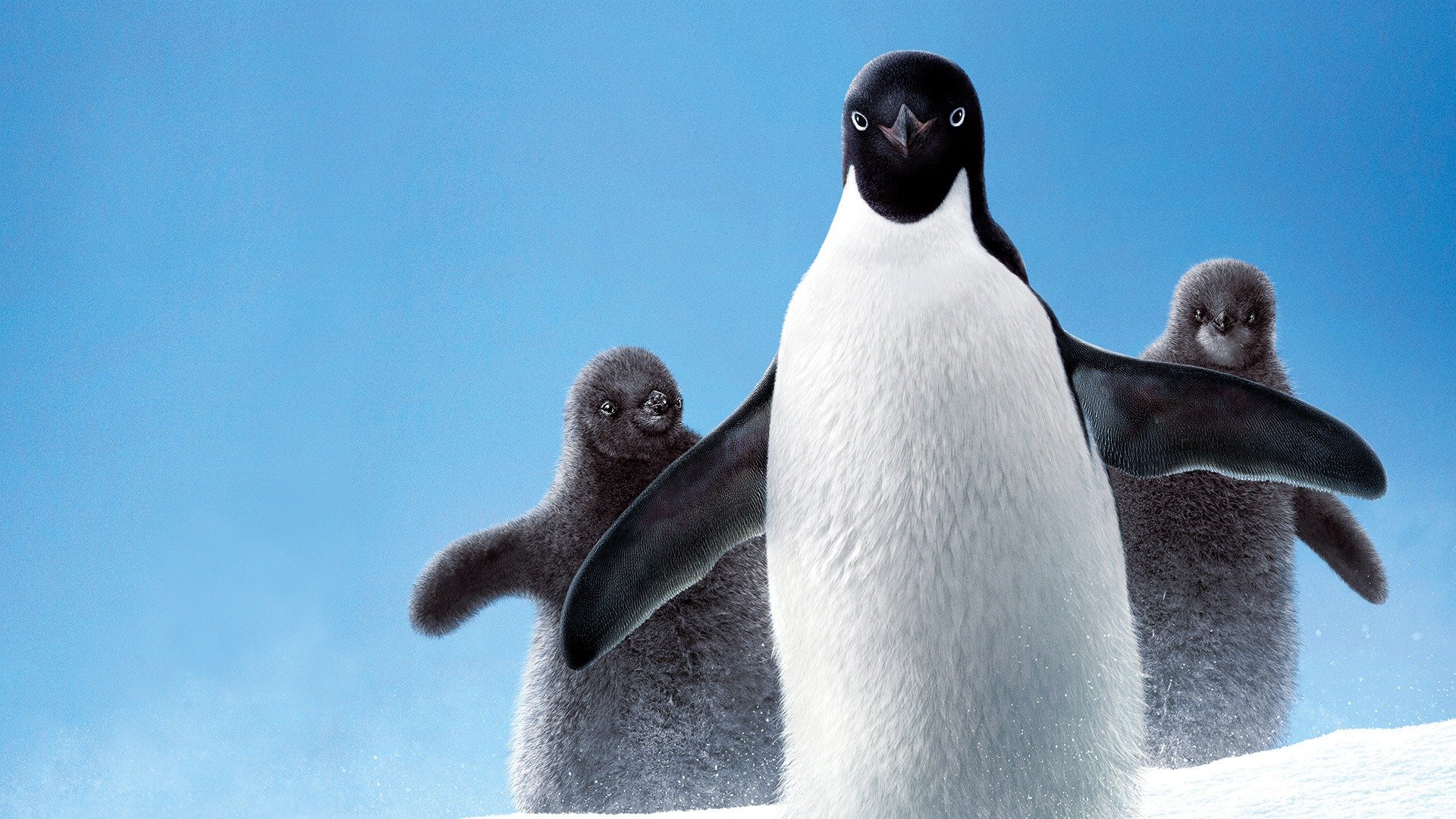 Penguenler