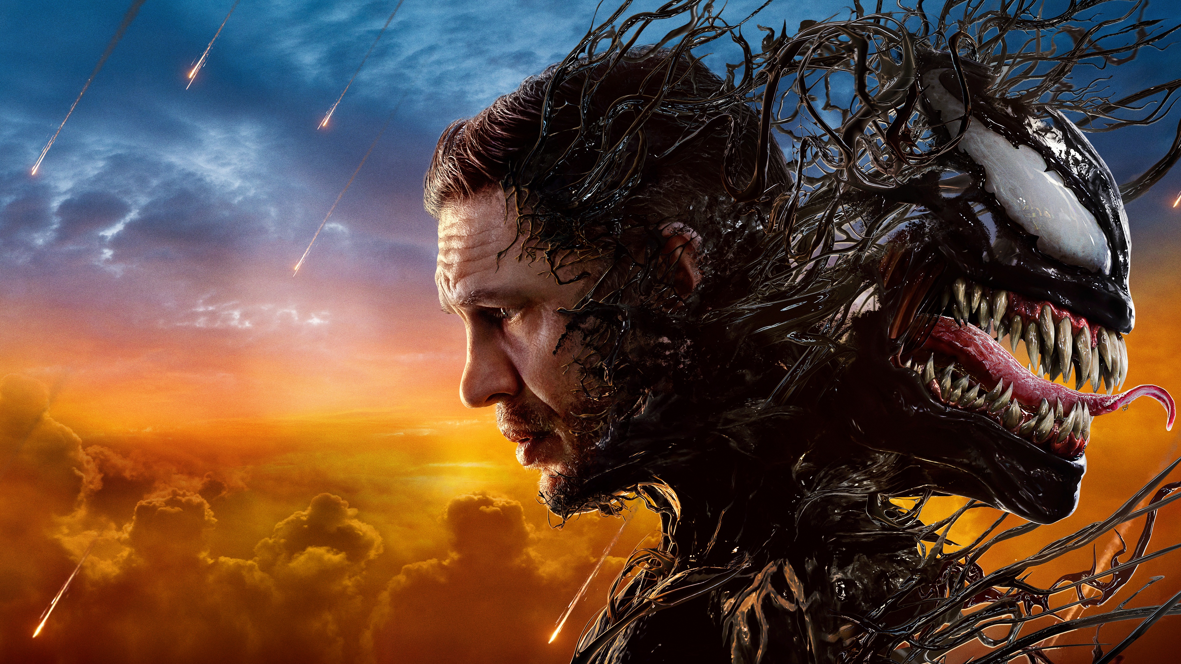 Venom: Son Dans