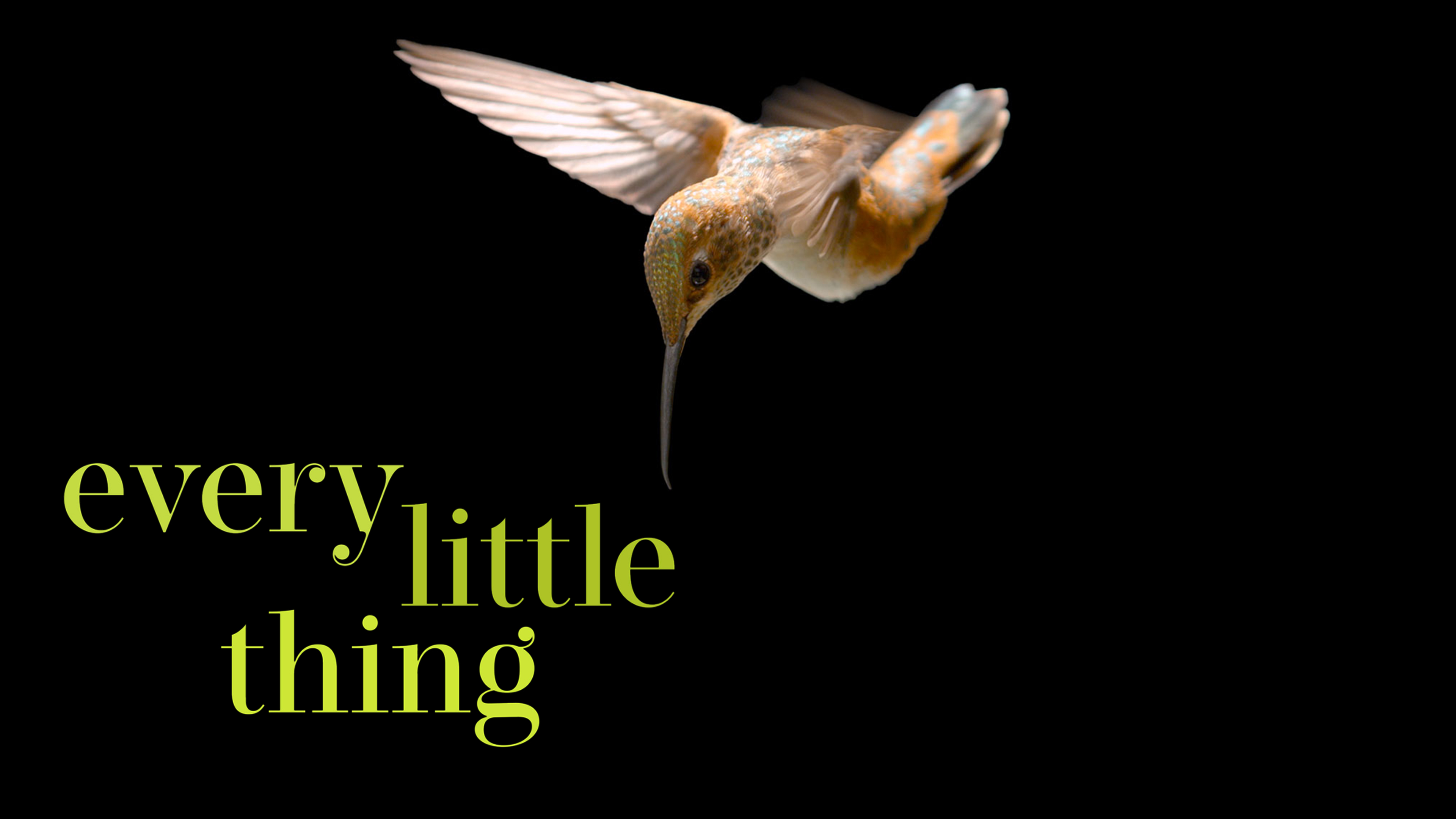 Every Little Thing