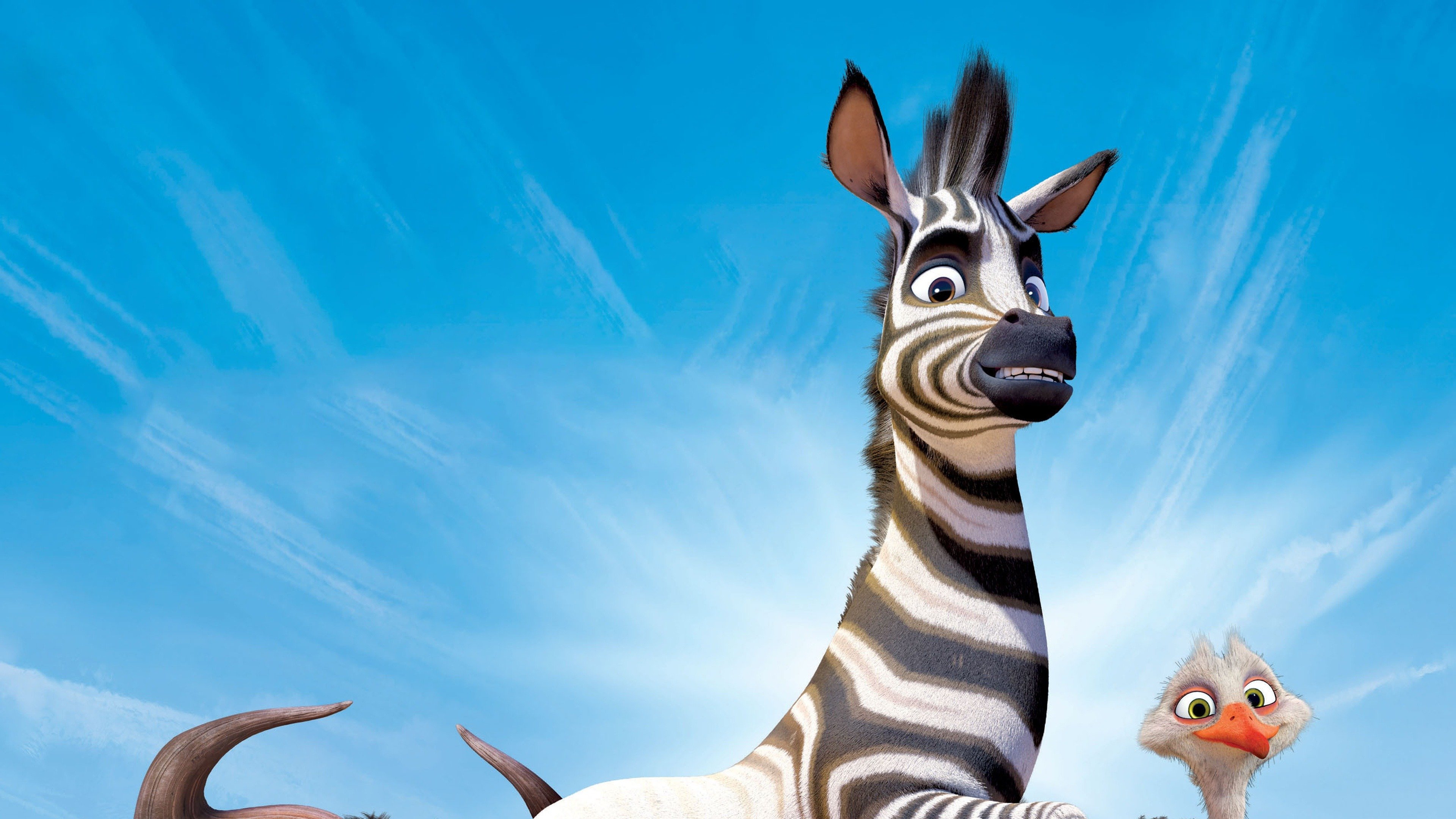 Cesur Zebra