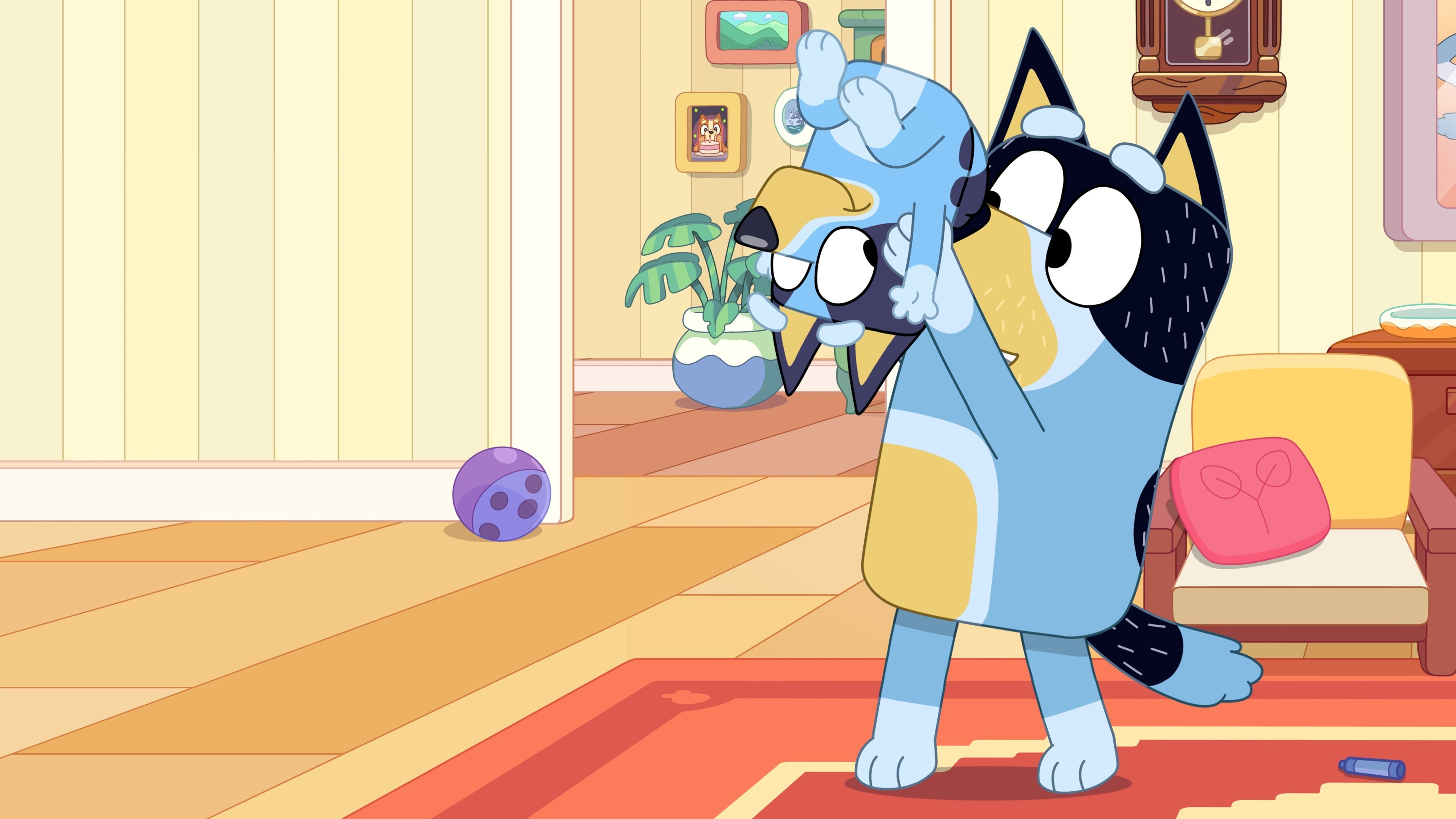 Bluey Kısalar