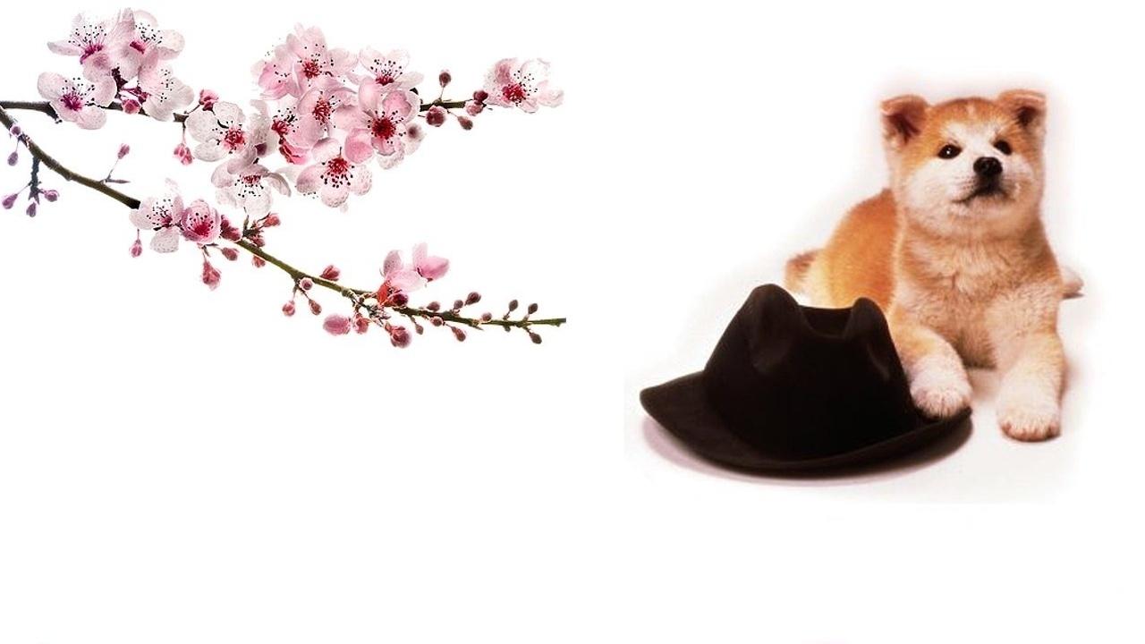 Hachiko Monogatari