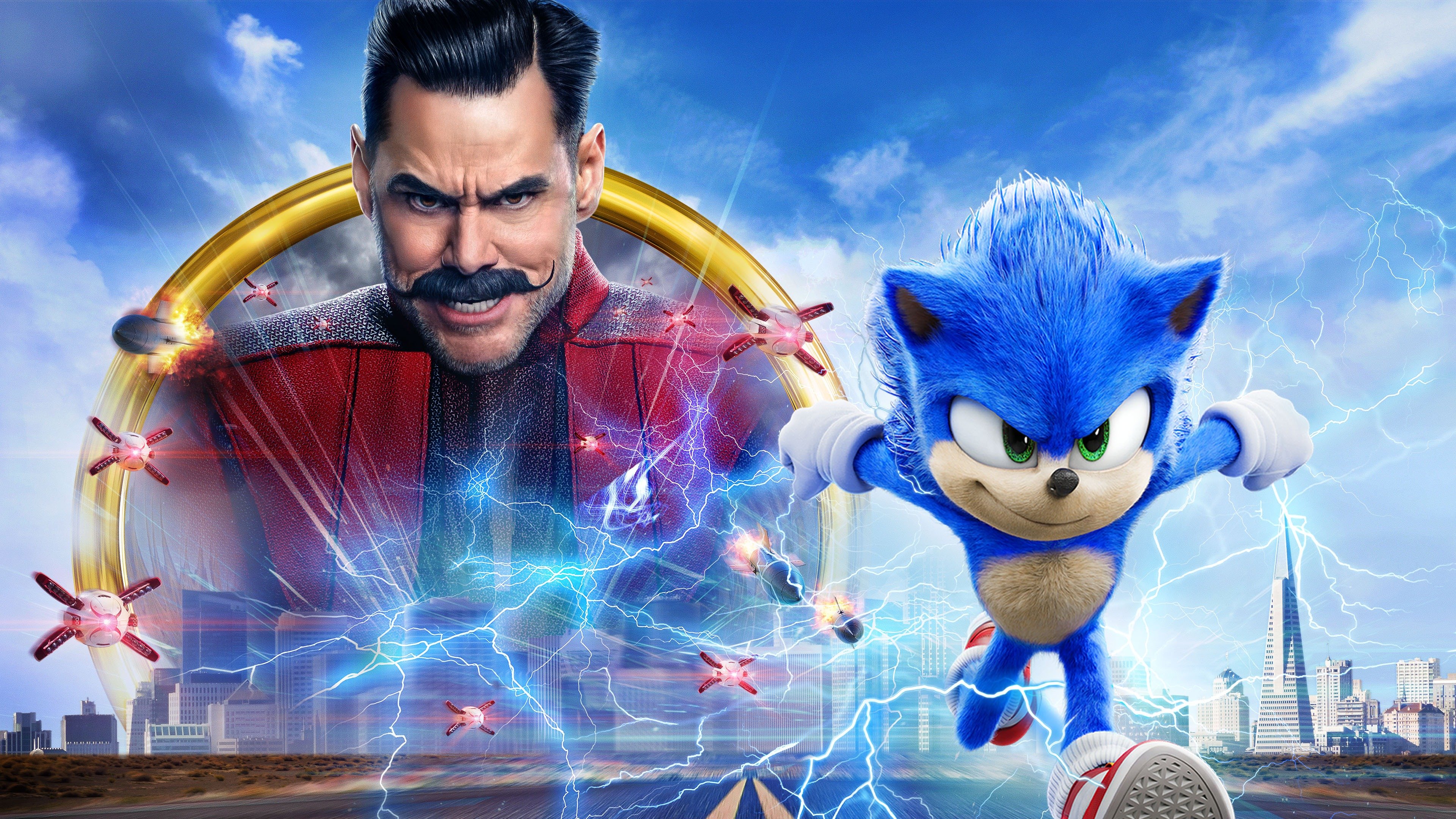 Kirpi Sonic