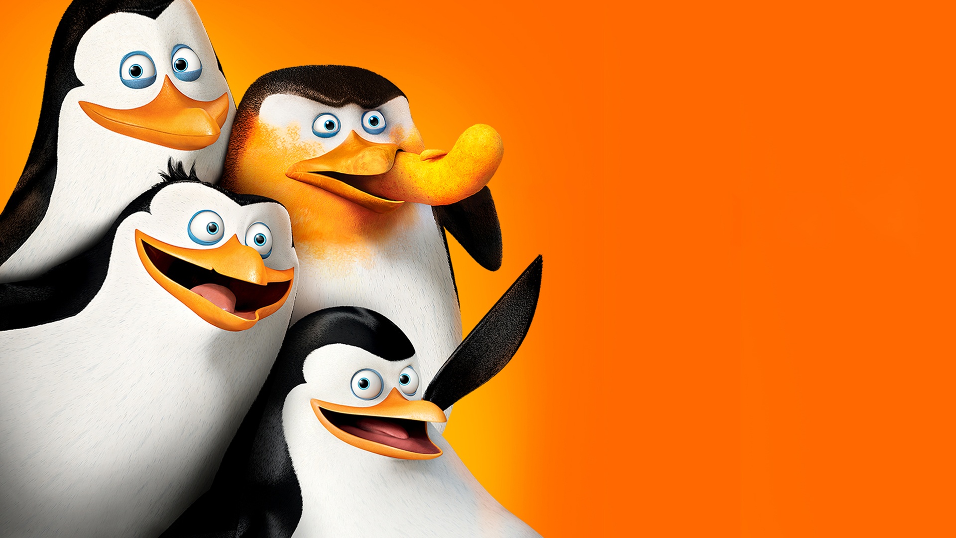 Madagaskar Penguenleri