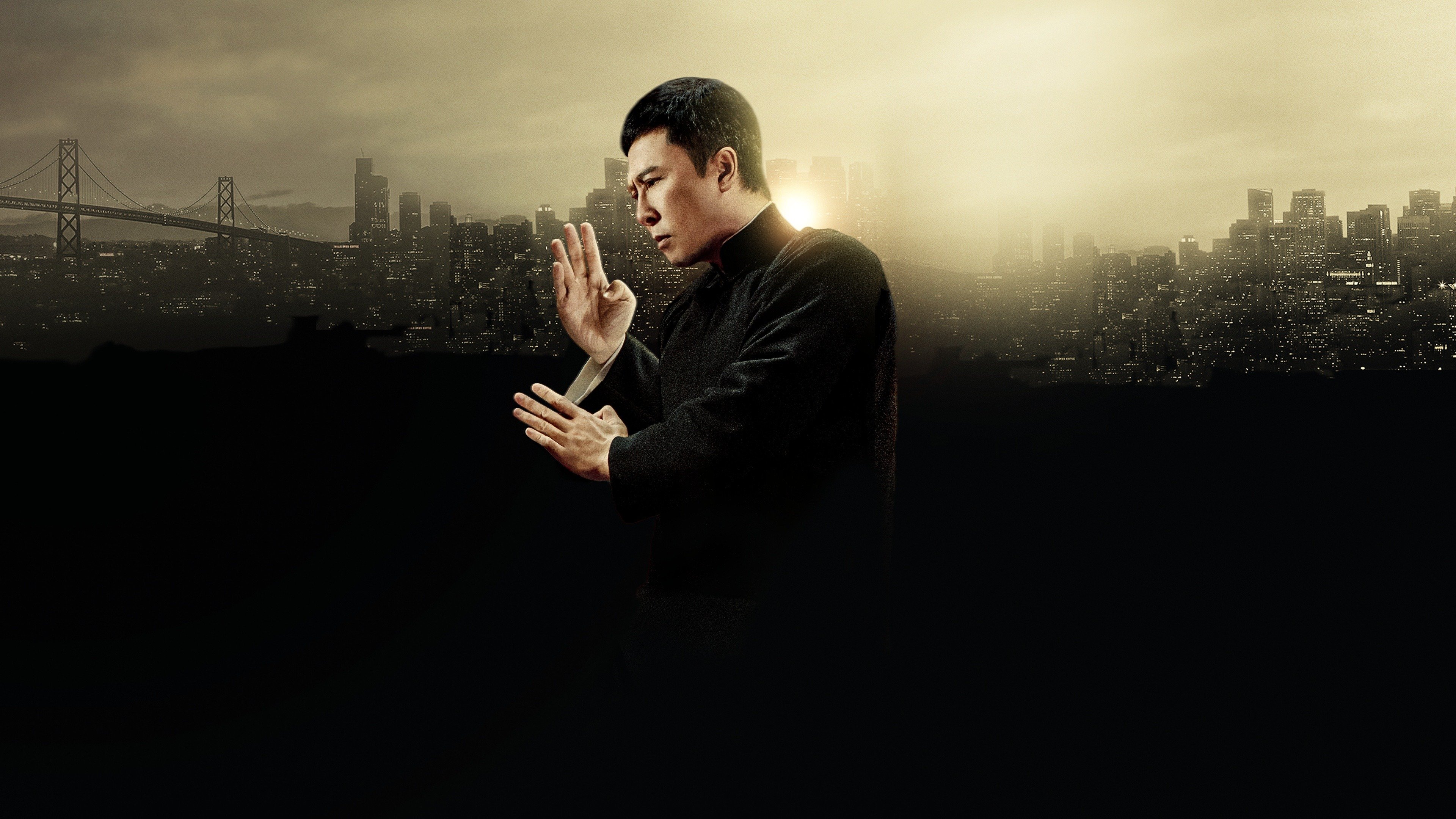 Ip Man 4: Final