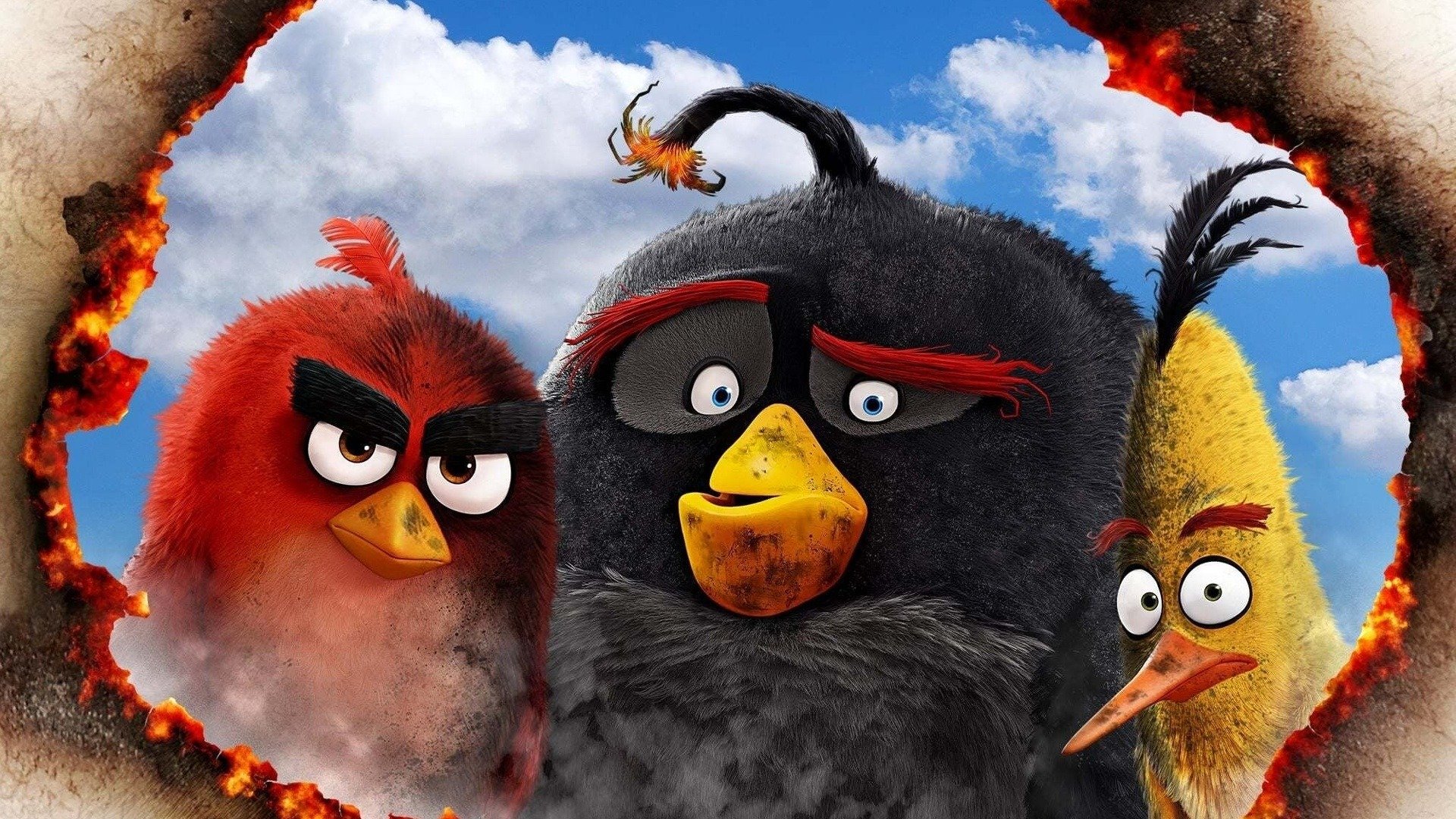 Angry Birds Film